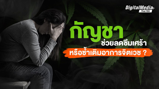เปิดคุณสมบัติ "กัญชา" กับการรักษาโรคทางจิตเวช
