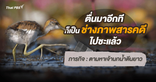 ตื่นมาอีกทีก็เป็นช่างภาพสารคดีไปซะแล้ว : เจ้านกน้ำตีนยาว