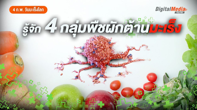 รู้จัก 4 กลุ่มพืชผักต้านมะเร็ง มีอะไรบ้างมาดูกัน