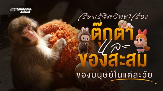 เรียนรู้จิตวิทยาเรื่อง “ตุ๊กตา” และ “ของสะสม” ของมนุษย์ในแต่ละวัย