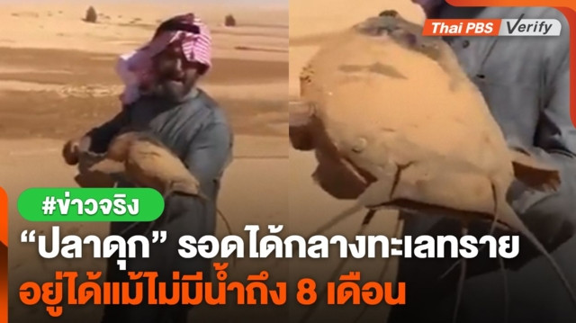 "ปลาดุก" รอดได้กลางทะเลทราย อยู่ได้แม้ไม่มีน้ำถึง 8 เดือน