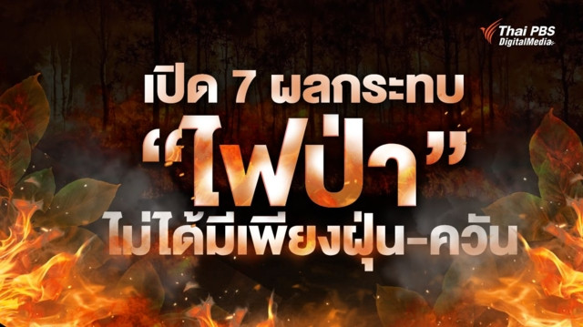 เปิด 7 ผลกระทบ “ไฟป่า” ไม่ได้มีเพียงฝุ่น-ควัน แต่สะเทือนถึงความหลากหลายทางชีวภาพ