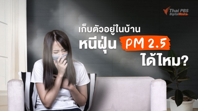 เก็บตัวอยู่ในบ้านหนีฝุ่น PM 2.5 ได้ไหม? แนะเคล็ดลับจัดการ “ฝุ่นในบ้าน” อยู่หมัด