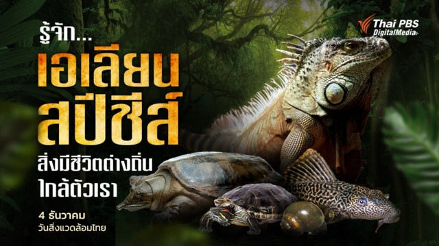 ชวนรู้จัก "เอเลียน สปีชีส์" คืออะไร ส่งผลกระทบต่อระบบนิเวศในไทยอย่างไร ?