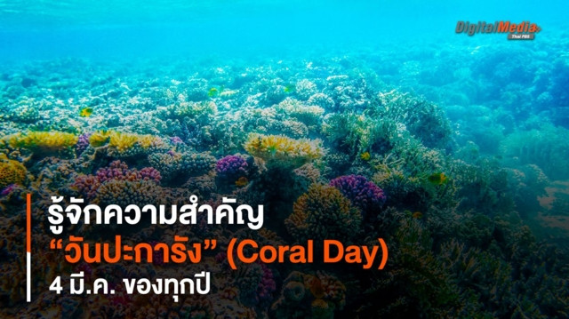 รู้จักความสำคัญ “วันปะการัง” (Coral Day) 4 มี.ค. ของทุกปี