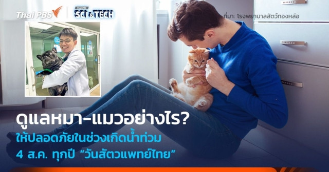 ดูแลหมา-แมวอย่างไร? ให้ปลอดภัยในช่วงเกิดน้ำท่วม