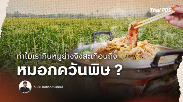 ทำไมเรากินหมูย่างจึงสะเทือนถึงหมอกควันพิษ