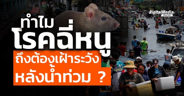 ทำไมโรคฉี่หนูถึงต้องเฝ้าระวังหลังน้ำท่วม ?