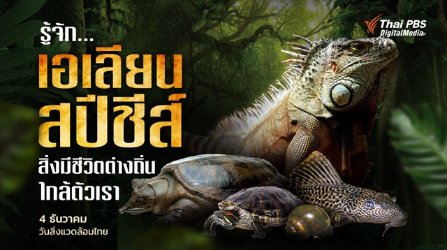 ชวนรู้จัก "เอเลียน สปีชีส์" คืออะไร ส่งผลกระทบต่อระบบนิเวศในไทยอย่างไร ?