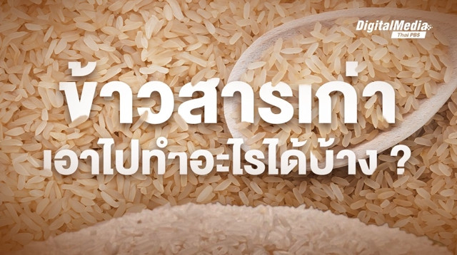 มากกว่าการกิน! เปิดวิธีนำ "ข้าวสาร" ไปใช้ประโยชน์หลากหลายทาง