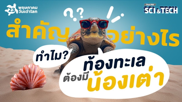 สำคัญอย่างไร ทำไม ? “ท้องทะเล” ต้องมี “น้องเต่า”