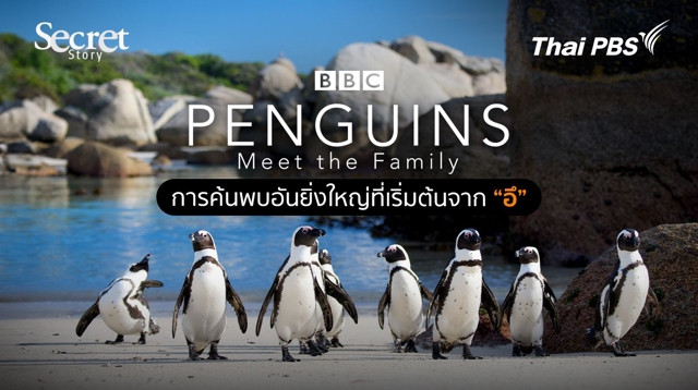 Secret Story | Penguins: Meet The Family  การค้นพบอันยิ่งใหญ่ที่เริ่มต้นจาก “อึ”