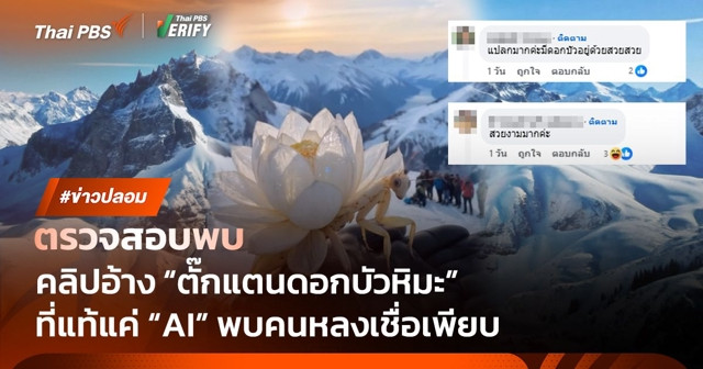 ตรวจสอบพบ : คลิป "ตั๊กแตนดอกบัวหิมะ" คนดู 10 ล้านครั้ง ที่แท้สร้างจาก AI