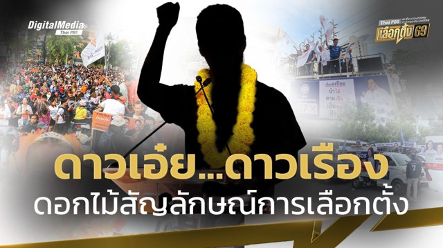 ดาวเอ๋ย…ดาวเรือง ดอกไม้แห่งการเลือกตั้งไทย