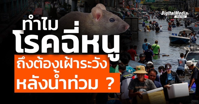 ทำไมโรคฉี่หนูถึงต้องเฝ้าระวังหลังน้ำท่วม ?