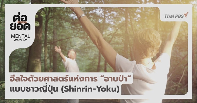 ฮีลใจด้วยศาสตร์แห่งการ ‘อาบป่า’ แบบชาวญี่ปุ่น (Shinrin-Yoku)