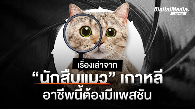เรื่องเล่าจาก "นักสืบแมว" เกาหลี อาชีพนี้ต้องมีแพสชัน