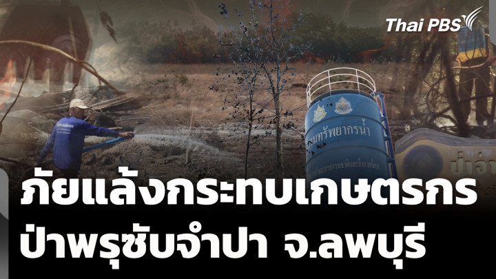 ภัยแล้งกระทบเกษตรกร-ป่าพรุซับจำปา จ.ลพบุรี 