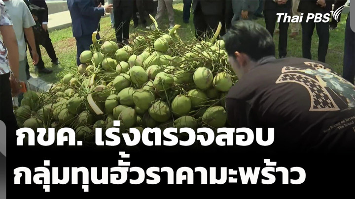 กขค. เร่งตรวจสอบ กลุ่มทุนฮั้วราคามะพร้าว