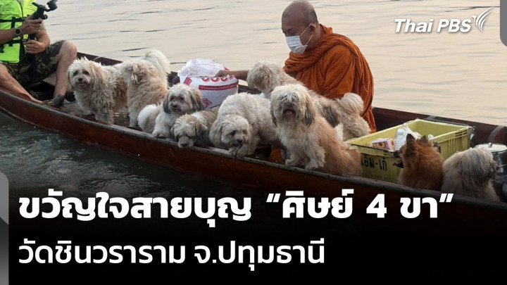ขวัญใจสายบุญ “ศิษย์ 4 ขา” วัดชินวราราม จ.ปทุมธานี