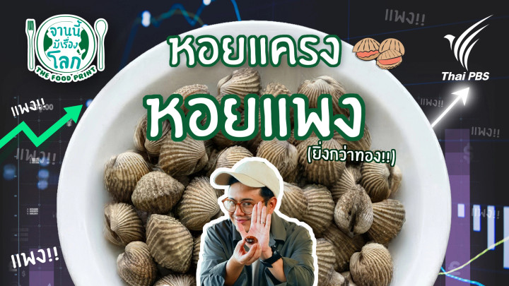 หอยแครง หอยแพง