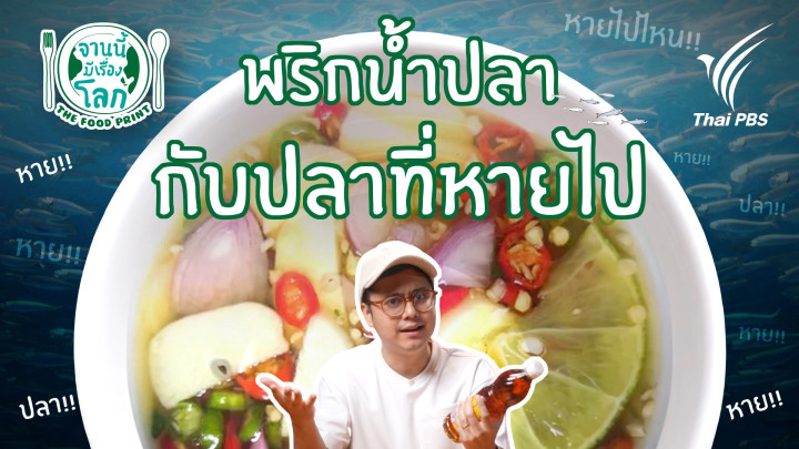 พริกน้ำปลา กับปลาที่หายไป