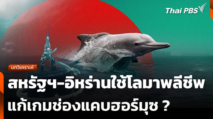 บทวิเคราะห์ : สหรัฐฯ-อิหร่านใช้โลมาพลีชีพแก้เกมช่องแคบฮอร์มุซ ?