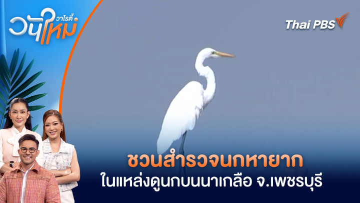 ชวนสำรวจนกหายาก ในแหล่งดูนกบนนาเกลือ จ.เพชรบุรี