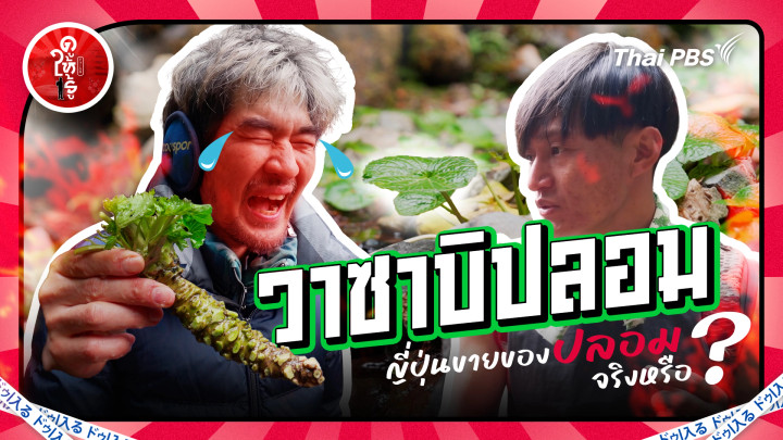 วาซาบิ = ปลอม ? ญี่ปุ่นขายของปลอมจริงหรือ