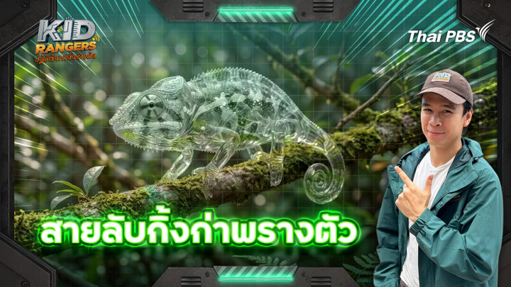 สายลับกิ้งก่าพรางตัว