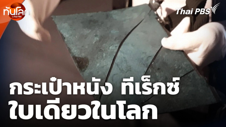 กระเป๋าหนัง ทีเร็กซ์ ใบเดียวในโลก