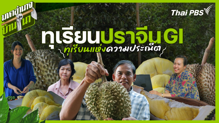 ทุเรียนปราจีน GI ทุเรียนแห่งความประณีต
