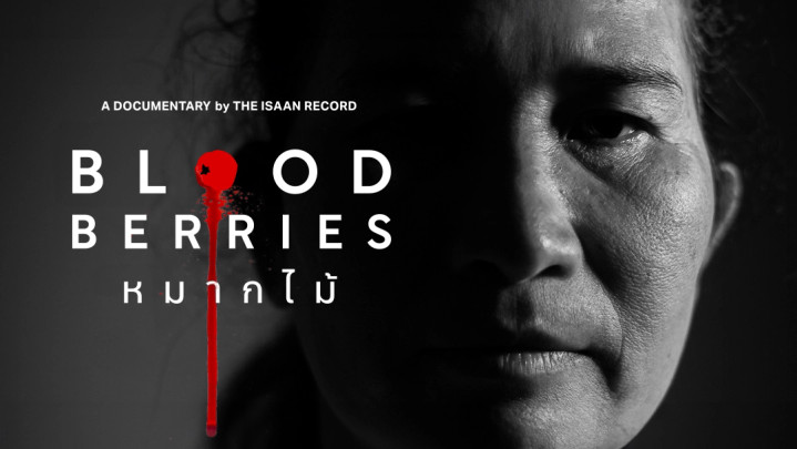 BLOOD BERRIES หมากไม้