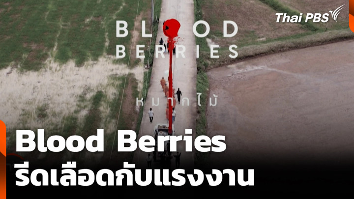 Blood Berries รีดเลือดกับแรงงาน