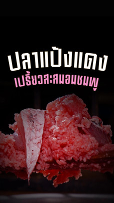 ปลาแป้งแดงคืออะไร?