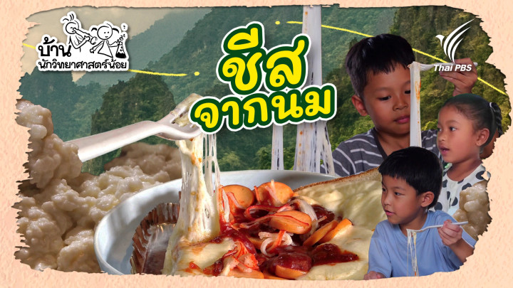 ชีสจากนม