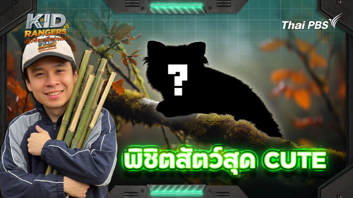 พิชิตสัตว์สุด CUTE
