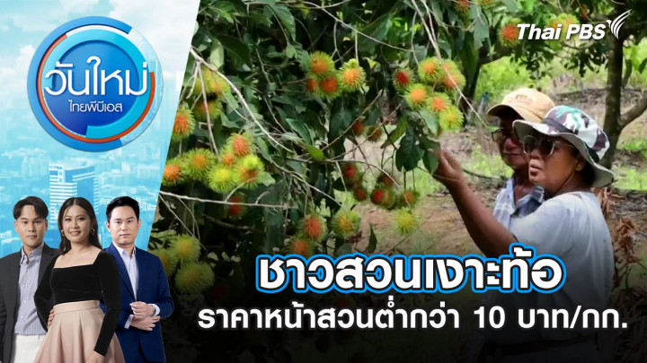 ชาวสวนเงาะท้อ ราคาหน้าสวนต่ำกว่า 10 บาท/กก.