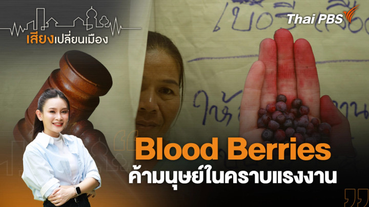 Blood Berries ค้ามนุษย์ในคราบแรงงาน