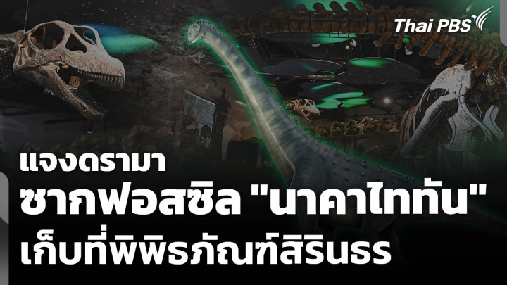 แจงดรามาเก็บซากฟอสซิล "นาคาไททัน" ที่พิพิธภัณฑ์สิรินธร ไม่ใช่แหล่งค้นพบ