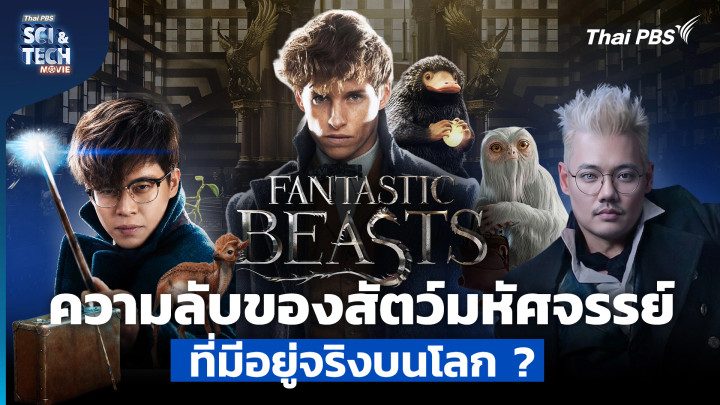 Fantastic Beasts ความลับของ "สัตว์มหัศจรรย์" ที่มีอยู่จริงบนโลก