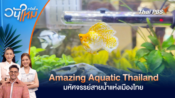 Amazing Aquatic Thailand มหัศจรรย์สายน้ำแห่งเมืองไทย