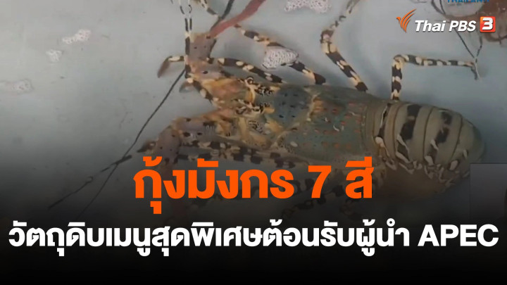 สีสันวาไรตี้ : กุ้งมังกร 7 สี วัตถุดิบเมนูสุดพิเศษต้อนรับผู้นำ APEC