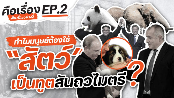 ทำไมมนุษย์ถึงต้องใช้ “สัตว์” เป็นทูตสันถวไมตรี ? | คือเรื่องมันเป็นอย่างงี้
