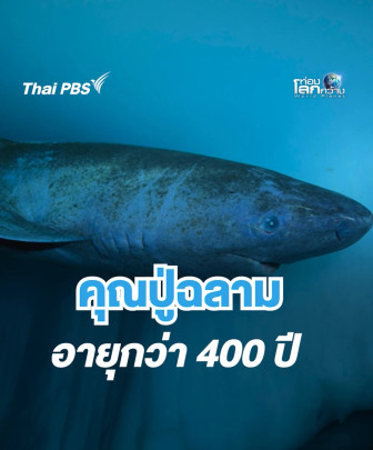 ความลับอายุยืน คุณปู่ฉลามกรีนแลนด์ | ท่องโลกกว้าง