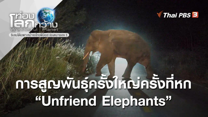 Unfriend Elephants : การสูญพันธุ์ครั้งใหญ่ครั้งที่หก