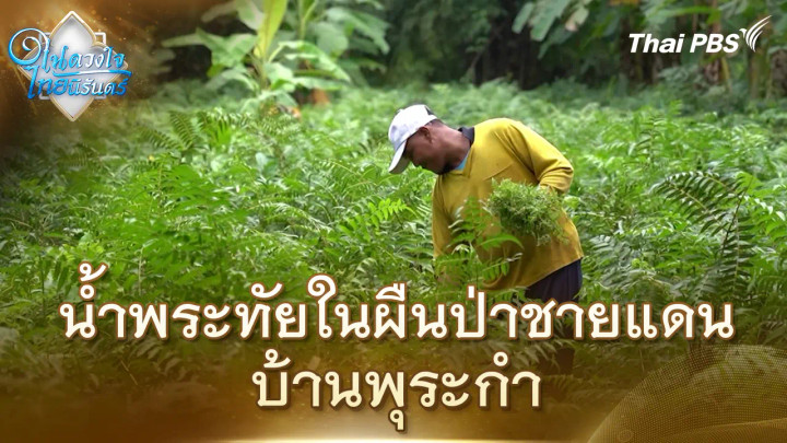 น้ำพระทัยในผืนป่าชายแดน บ้านพุระกำ | ในดวงใจไทยนิรันดร์ | 7 พ.ย. 68