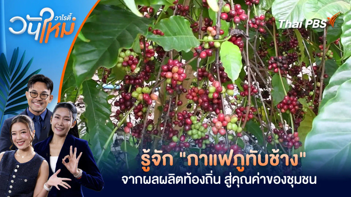 รู้จัก "กาแฟภูทับช้าง" จากผลผลิตท้องถิ่น สู่คุณค่าของชุมชน
