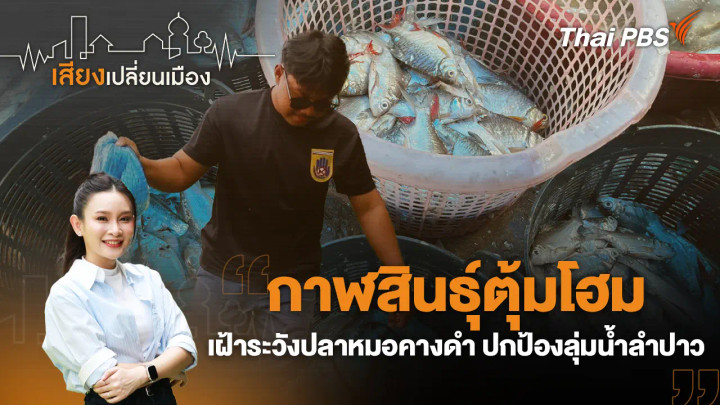 กาฬสินธุ์ตุ้มโฮม เฝ้าระวังปลาหมอคางดำ ปกป้องลุ่มน้ำลำปาว