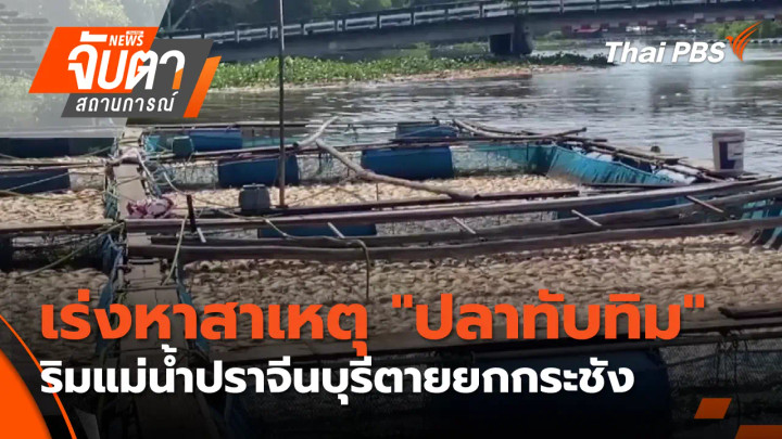 เร่งหาสาเหตุ "ปลาทับทิม" ริมแม่น้ำปราจีนบุรีตายยกกระชัง